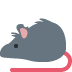 Rat