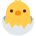 Hatching Chick