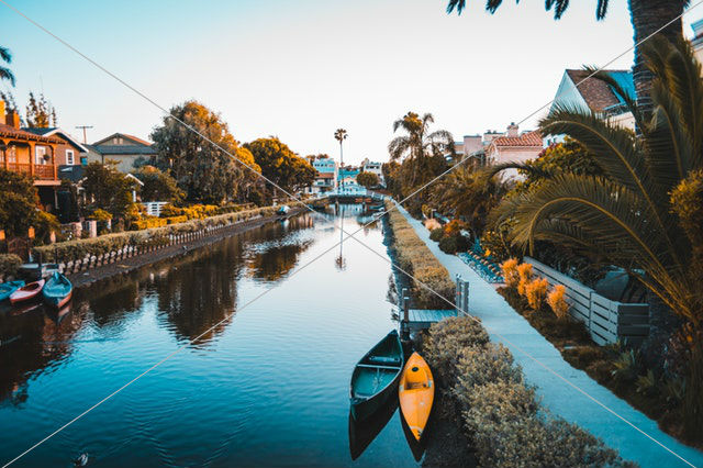 body of water between green bushes and houses