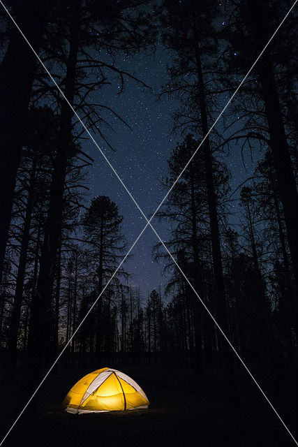 camping night tent recreation