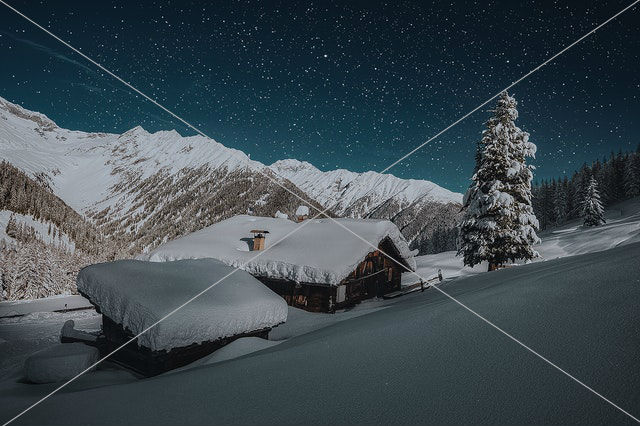 ice coated house roofs beside green pine tree