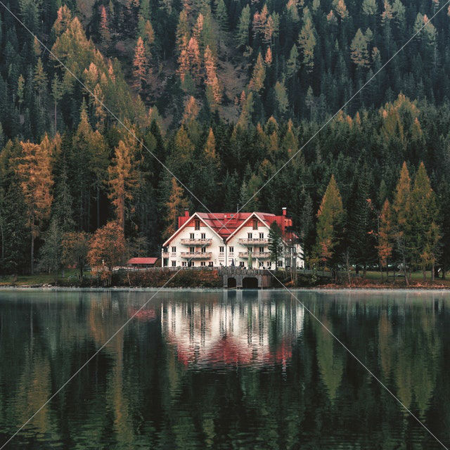 White and orange house beside forest and body of water